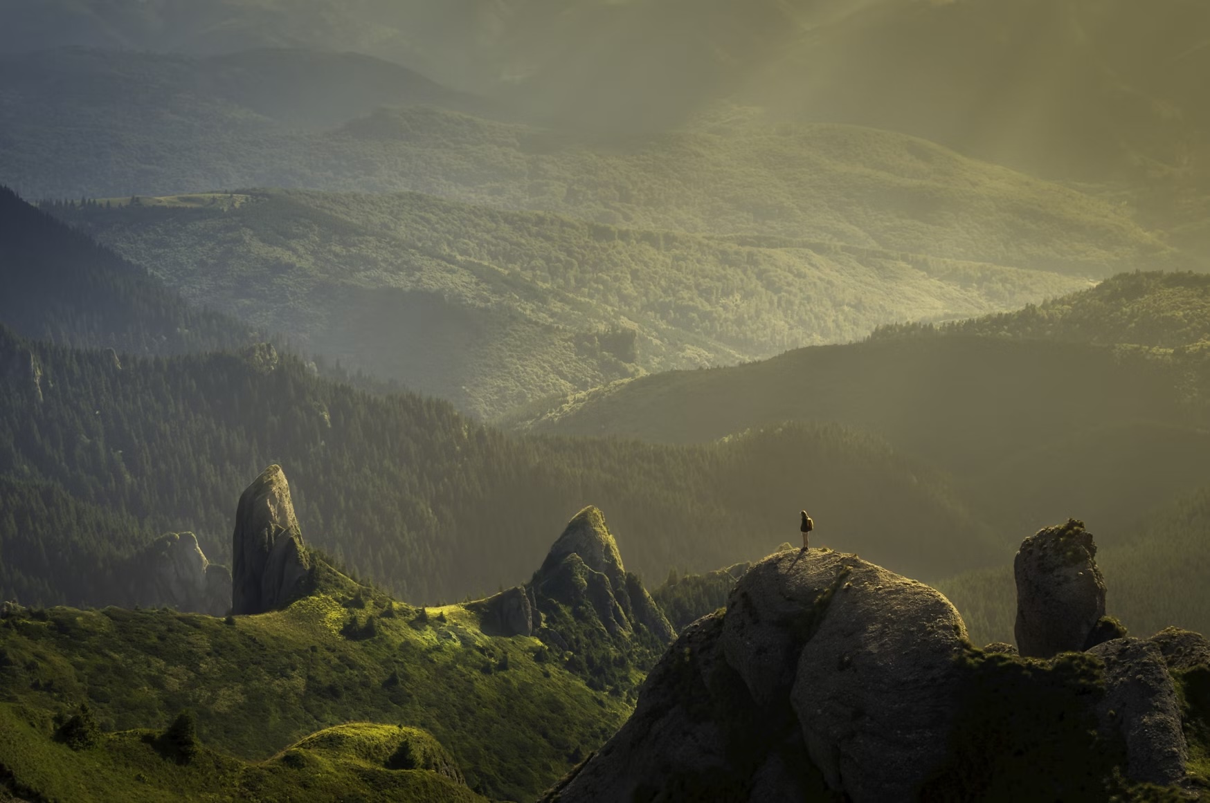 Alone in the wilderness...